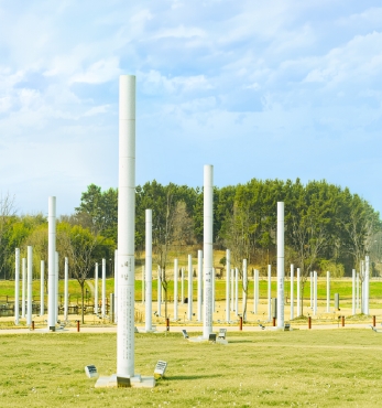 햇살 한 아름 내려앉은 들판 섬네일 파일